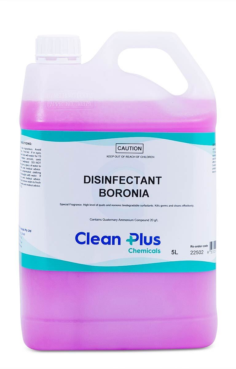 Disinfectant Boronia Cleanplus