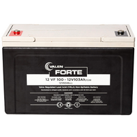 VRLA FORTE - 12V100Ah