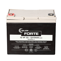 VRLA FORTE - 12V33Ah