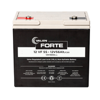 VRLA FORTE - 12V55Ah