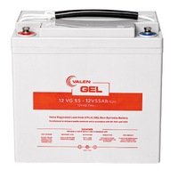 VRLA GEL - 12V55Ah