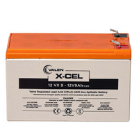 VRLA X-CEL - 12V9Ah F2