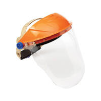 ASSEMBLED BROWGUARD &amp; CLEAR CHIN GUARD VISOR 