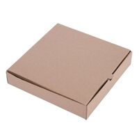 Fiesta Compostable Plain Pizza Pack Boxes 9&quot; (Pack of 100)