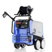 Kranzle Therm 895-1 Steam Cleaner with 20m Hose &amp; Reel - Stainless Steel Coil (QC D12)